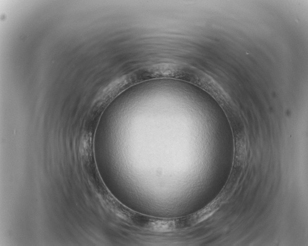 X0000087550126200705041337