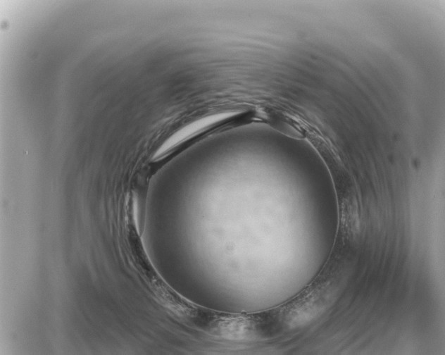 X0000087550127200705041337