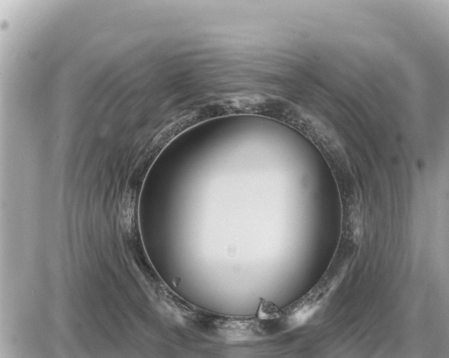 X0000087550129200705041337