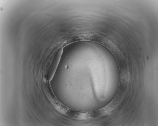 X0000087550130200705041337