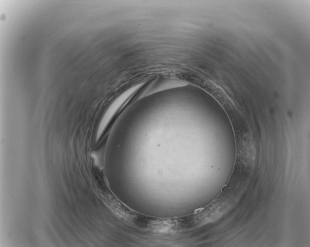 X0000087550131200705041337