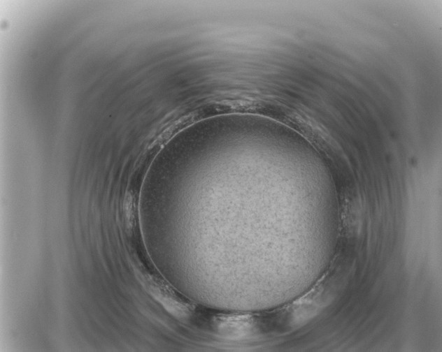 X0000087550132200705041337