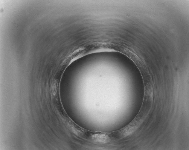 X0000087550133200705041337