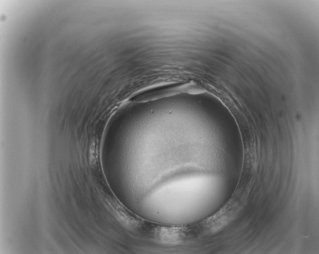 X0000087550134200705041337