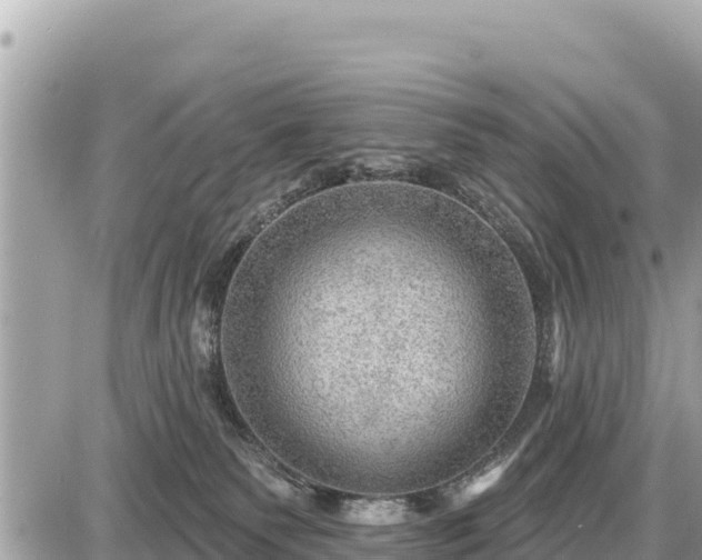 X0000087550135200705041337