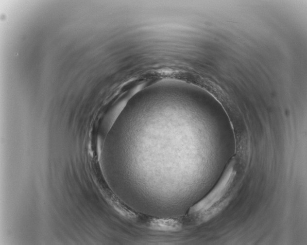 X0000087550137200705041337