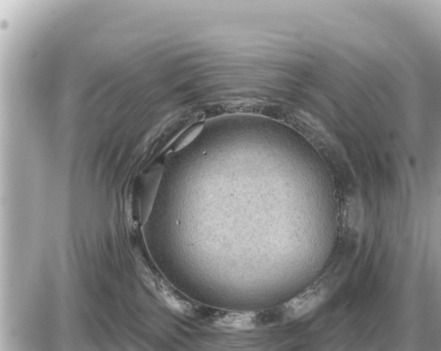 X0000087550138200705041337