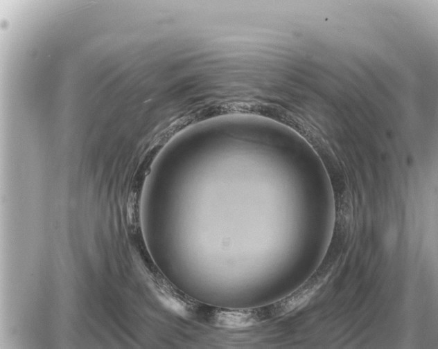 X0000087550139200705041337