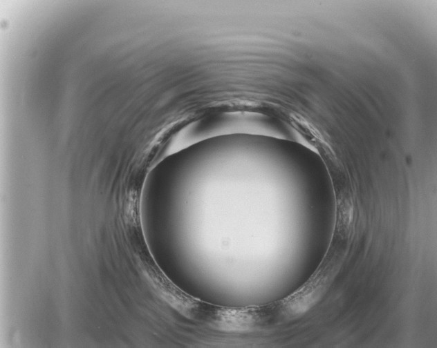 X0000087550141200705041337