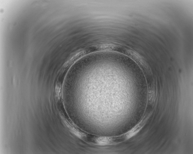 X0000087550142200705041337