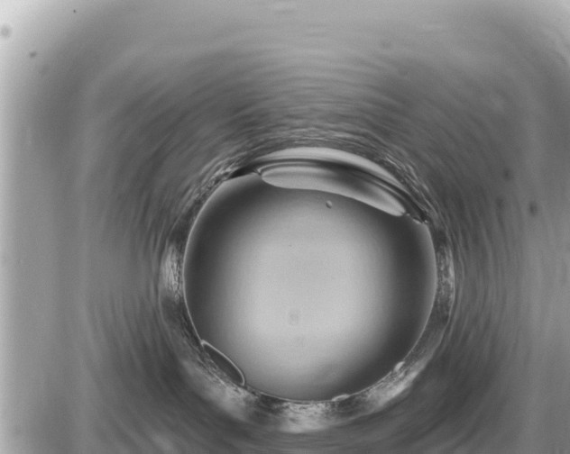 X0000087550143200705041337