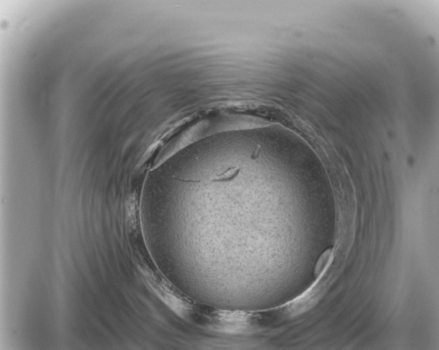 X0000087550144200705041337