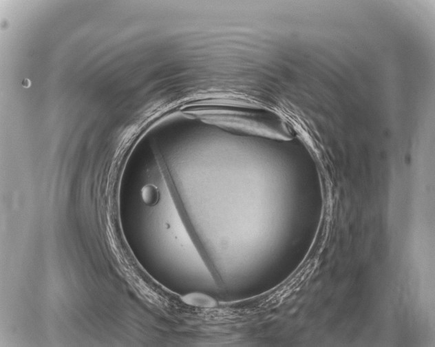 X0000087550145200705041336