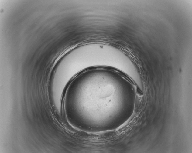 X0000087550146200705041336