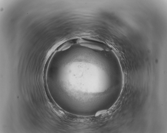 X0000087550147200705041336