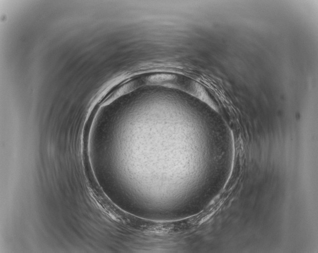 X0000087550148200705041336