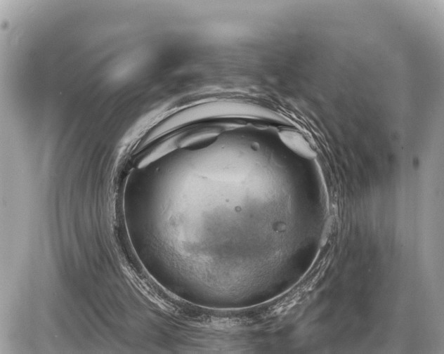 X0000087550149200705041336