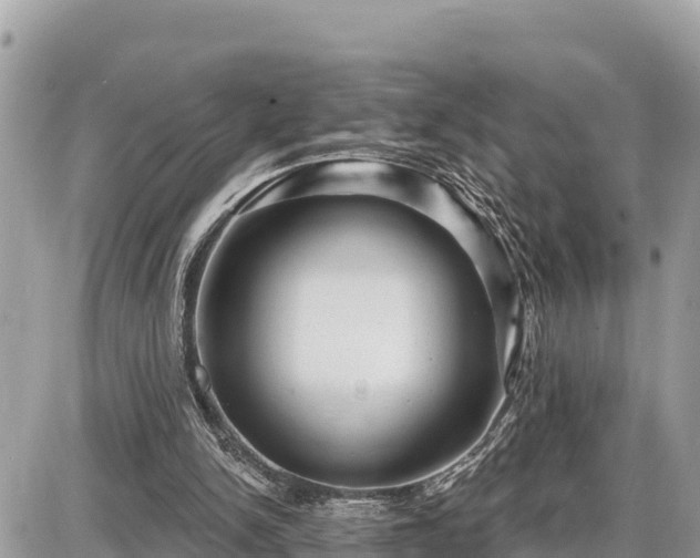 X0000087550150200705041336