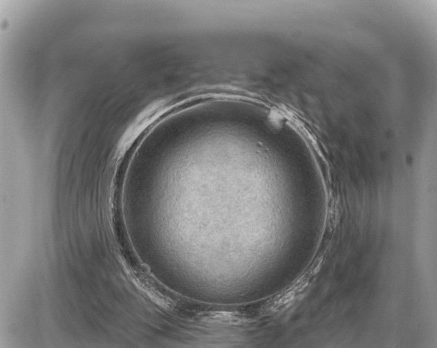 X0000087550151200705041336