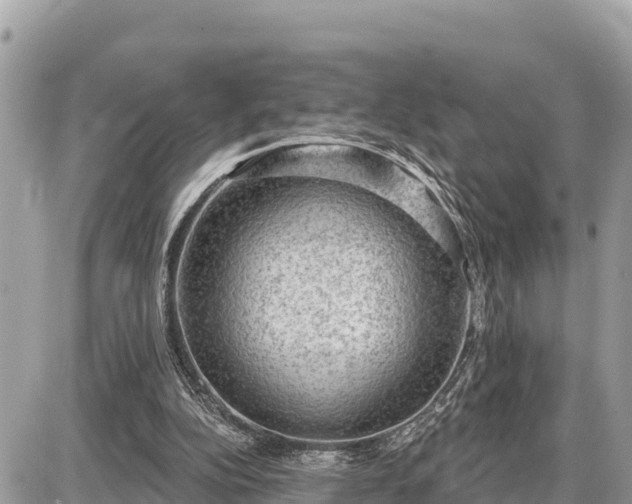 X0000087550152200705041336