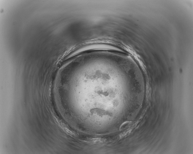 X0000087550153200705041336