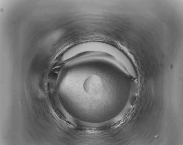 X0000087550154200705041336