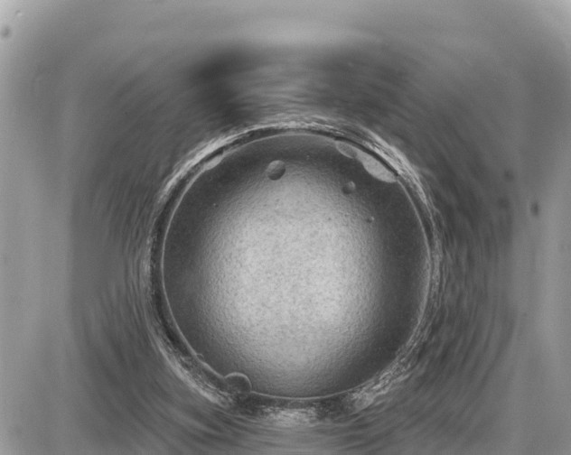 X0000087550155200705041336