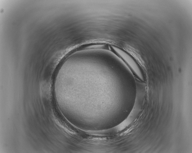 X0000087550156200705041336