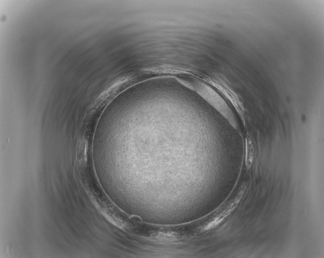 X0000087550157200705041337