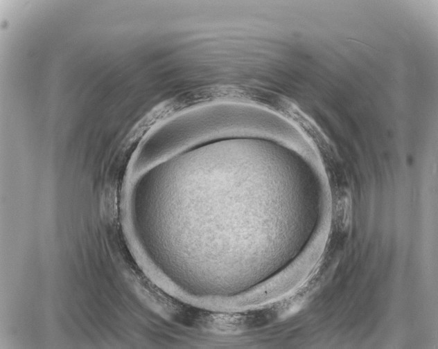 X0000087550158200705041337