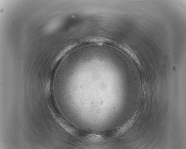 X0000087550159200705041337