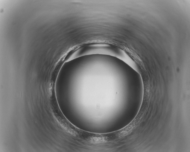 X0000087550160200705041337