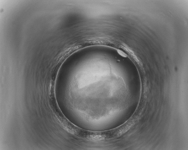 X0000087550161200705041337