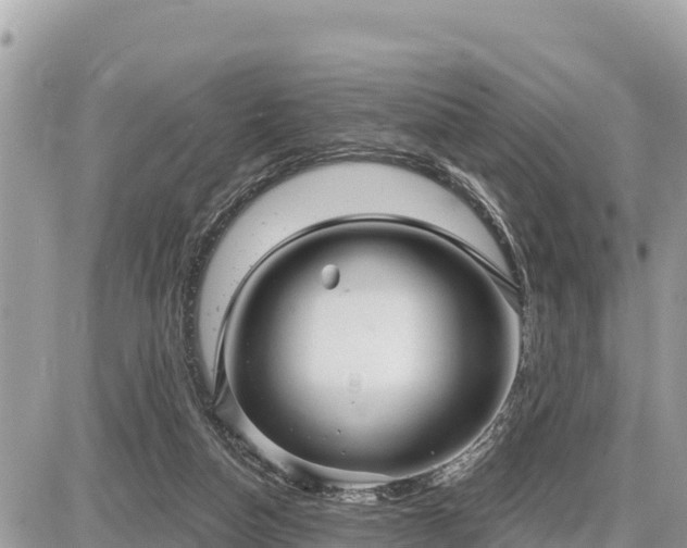 X0000087550162200705041337