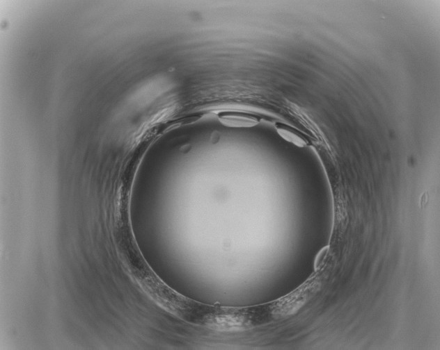 X0000087550163200705041337