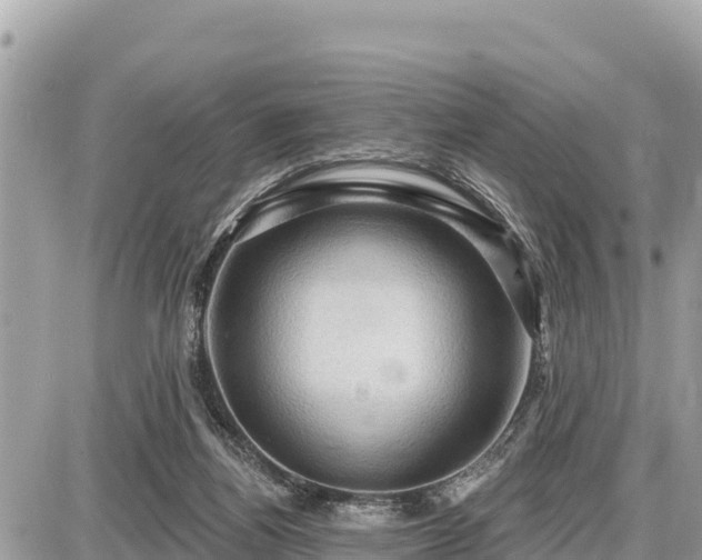 X0000087550164200705041337