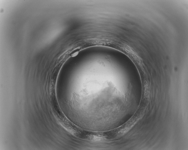 X0000087550165200705041337