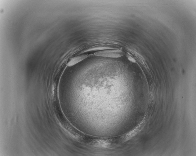 X0000087550166200705041337