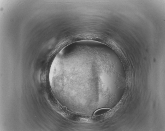 X0000087550167200705041337