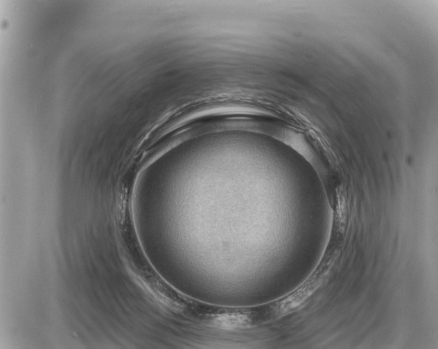 X0000087550168200705041337