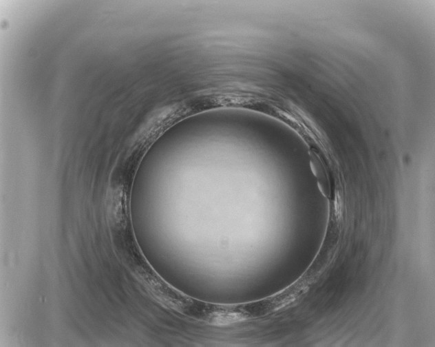 X0000087550169200705041337