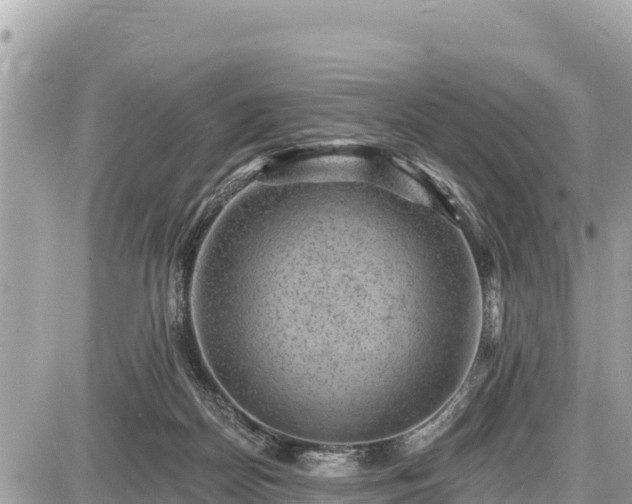 X0000087550170200705041337