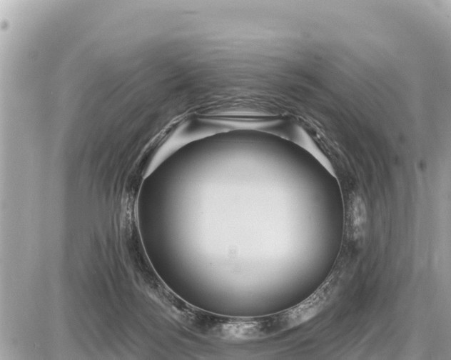 X0000087550172200705041337