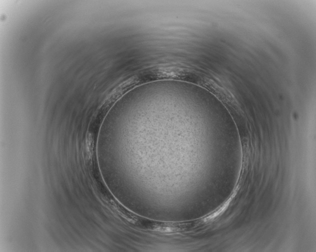 X0000087550174200705041337