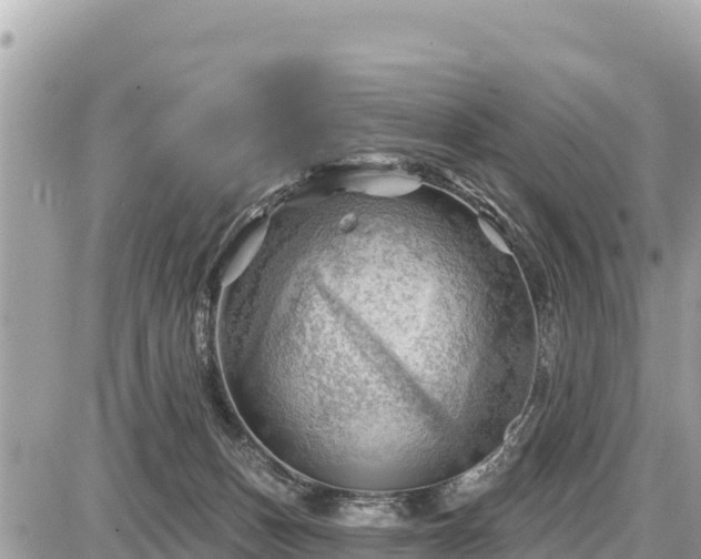 X0000087550175200705041337