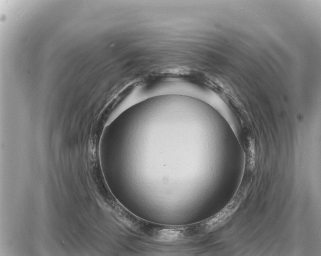 X0000087550176200705041337