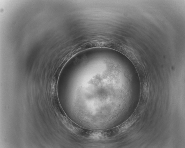 X0000087550177200705041337