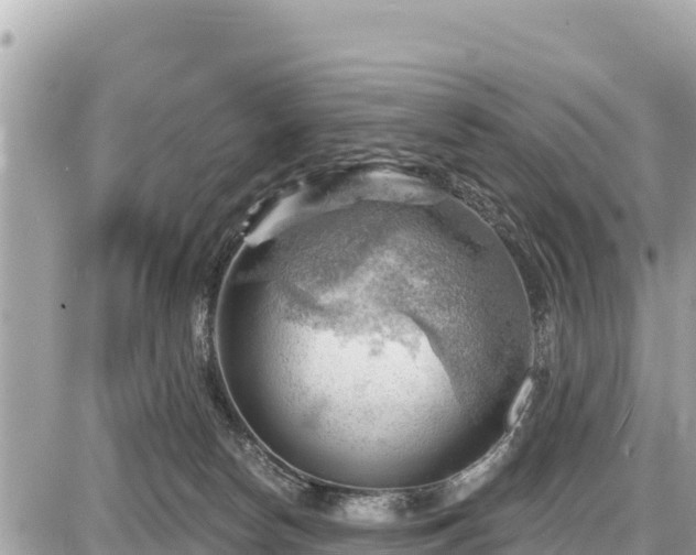 X0000087550178200705041337