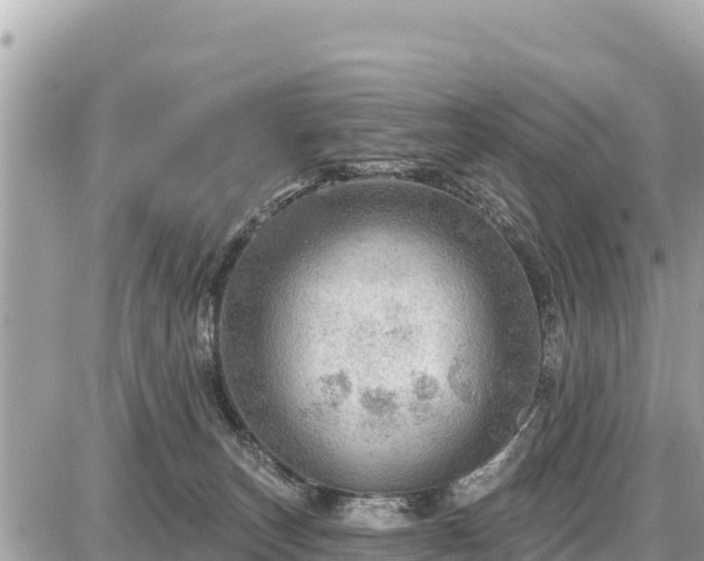 X0000087550179200705041337