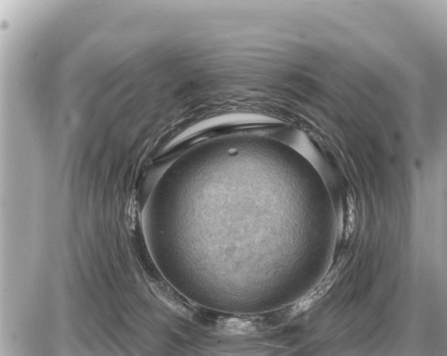 X0000087550180200705041337